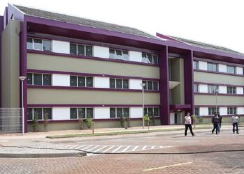 Integração latino-americana: Cepal e lideranças de Foz planejam ações para as futuras gerações.. Foto: Divulgação.