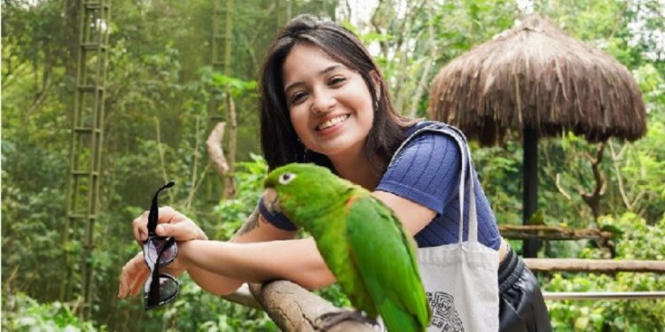 Foto: Divulgação/Parque das Aves Foto: Divulgação/Parque das Aves