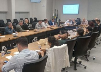Morador de Foz Iguaçu pode participar do debate na plenária do Codefoz – foto: Divulgação