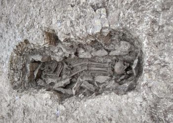 Esqueletos de 3 mil anos são encontrados em obras de abastecimento de água na Inglaterra / Foto: Thames Water