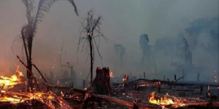 35% do desmatamento na Amazônia entre agosto de 2018 e julho de 2019 se deu em terras públicas não destinadas, categoria visada por grileiros Imagem: Reuters 35% do desmatamento na Amazônia entre agosto de 2018 e julho de 2019 se deu em terras públicas não destinadas, categoria visada por grileiros Imagem: Reuters