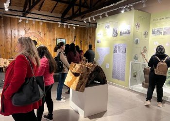 Visite os museus e desvende os tesouros culturais e históricos de Cascavel