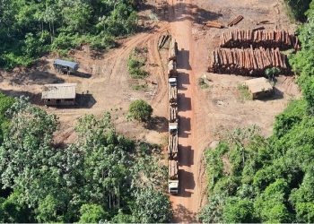 Queda neste primeiro mês de 2023 pode ser reflexo da retomada da pauta da defesa ambiental pelo governo Lula, diz entidade