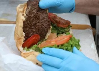 O DNA de cavalo foi identificado na carne de lanches. Tiago Coutinho/MP-RS
