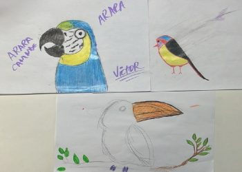 Foto: Divulgação/Parque das Aves