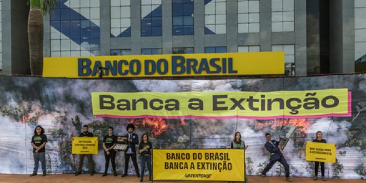 Ato do Greenpeace Brasil em frente à sede do Banco do Brasil - Foto: Tuane Fernandes/Greenpeace Brasil Ato do Greenpeace Brasil em frente à sede do Banco do Brasil - Foto: Tuane Fernandes/Greenpeace Brasil