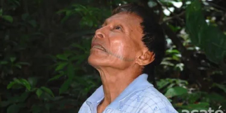 Jovem aprendiz Matsés registra planta medicinal sob orientação de ancião na floresta amazônica. Foto: Reprodução Foto: Reprodução