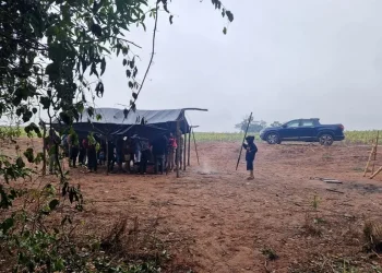Indígenas Avá Guarani da Terra Indígena Guasu Guavira retomam parte de seu território. Em represália, foram atacados no último sábado (13) por um grupo de fazendeiros. Foto: Arquivo Cimi Sul