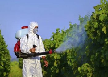 Práticas de uso de agrotóxicos no país aumenta os riscos à saúde - Foto: Divulgação