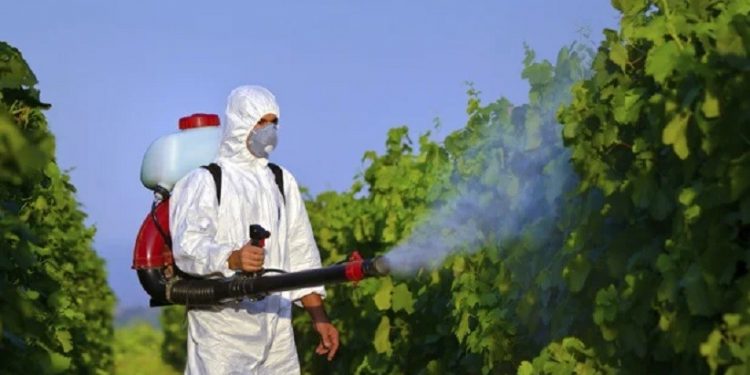 Práticas de uso de agrotóxicos no país aumenta os riscos à saúde - Foto: Divulgação Práticas de uso de agrotóxicos no país aumenta os riscos à saúde - Foto: Divulgação