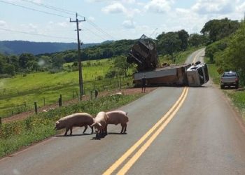 Foto: Coesta Oeste/Divulgação