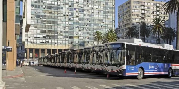 Los autobuses eléctricos chinos llegan a Montevideo, Uruguay (imagem: Presidencia de la República Oriental del Uruguay) Los autobuses eléctricos chinos llegan a Montevideo, Uruguay (imagem: Presidencia de la República Oriental del Uruguay)