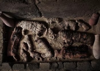 Gatos mumificados dentro de uma tumba na necrópole perto das pirâmides egípcias, em Sacará. Arqueologistas locais descobriram sete tumbas da era farônica contendo dúzias de múmias de gato e estátuas de animais feitas de madeira. — Foto: Nariman El-Mofty/A