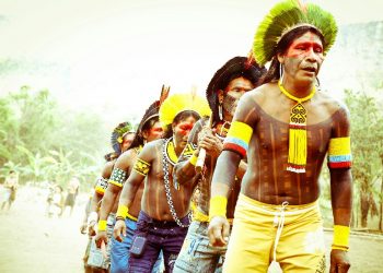 Hoje, os povos indígenas brasileiros representam cerca de 0,83% da população brasileira. Foto de Fredox Carvalho no Pexels.