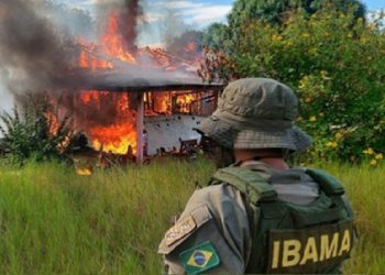 Avião sendo destruído em operação para retirada dos garimpeiros ilegais da Terra Indígena Yanomami - Foto: ©IBAMA/Divulgação