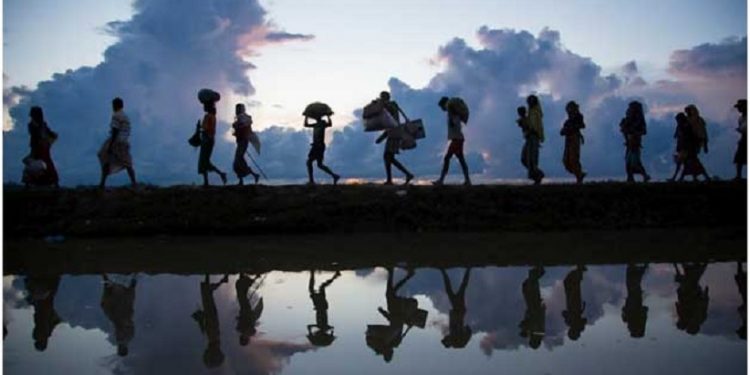 Un grupo de migrantes y refugiados caminan en fila, cargando algunas pertenencias Foto: Acnur Un grupo de migrantes y refugiados caminan en fila, cargando algunas pertenencias Foto: Acnur
