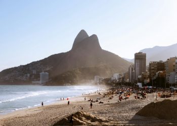 Foto: Vinícius Vieira ft/Pexels