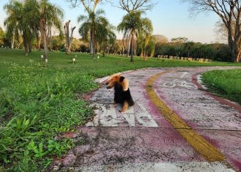 Fotos: Kleber da Silva/Itaipu Binacional