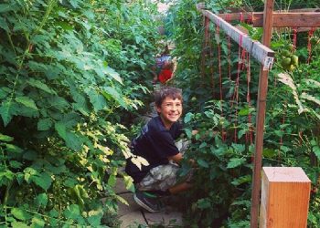 Fotos: @Oliver’sGardenProject