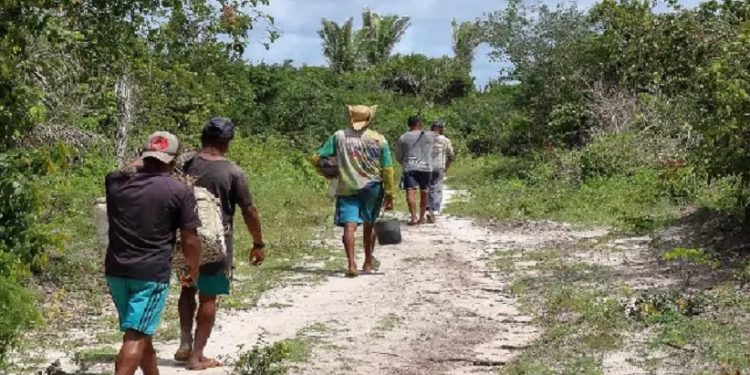 Imagem dos pescadores da comunidade de Canelatiua (Foto: Eduardo Queiroz/Amazônia Real/2019) Imagem dos pescadores da comunidade de Canelatiua (Foto: Eduardo Queiroz/Amazônia Real/2019)