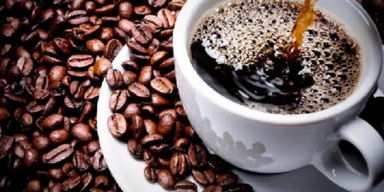 torra-do-café-fronteiralivre