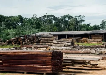 Foto: Marcelo Camargo/Agência Brasil