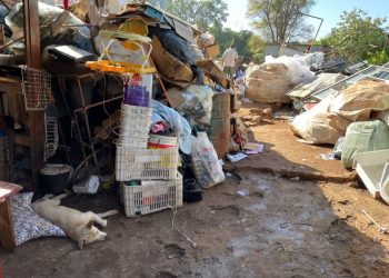 Pesquisa quer identificar em Foz do Iguaçu todas as situações de possível acumulação de objetos e animais