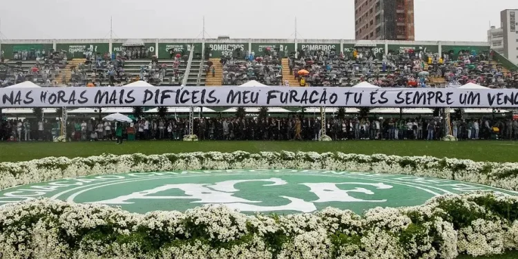 Foto: Divulgação Foto: Divulgação