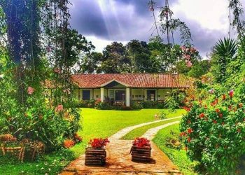 Foto: Fazenda El Roble/Divulgação