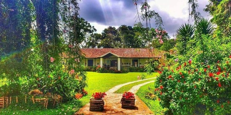 Foto: Fazenda El Roble/Divulgação Foto: Fazenda El Roble/Divulgação