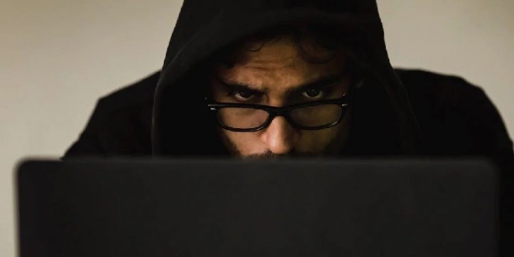 Fraudador em busca de dados - Foto de Sora Shimazaki/Pexels Fraudador em busca de dados - Foto de Sora Shimazaki/Pexels