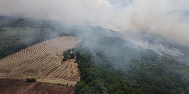 Das seis ocorrências deste ano, quatro delas aconteceram em Guaíra. Foto: Itaipu Binacional Das seis ocorrências deste ano, quatro delas aconteceram em Guaíra. Foto: Itaipu Binacional