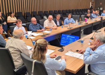Análise permitirá verificar a aderência do plano aos projetos prioritários da agenda Acelera Foz 2040 – foto: Divulgação