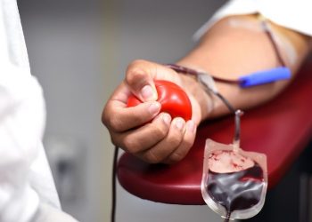 Biomédicos reforçam a importância da doação de sangue; gesto humanitário pode salvar até quatro vidas - Foto: Michelle Gordon/Pixabay