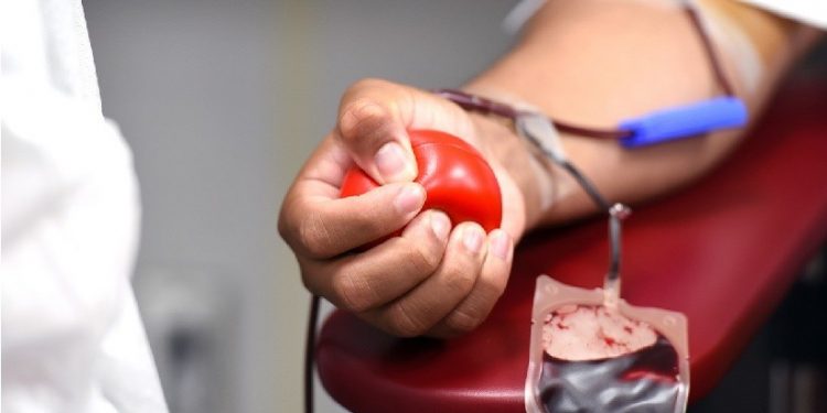 Biomédicos reforçam a importância da doação de sangue; gesto humanitário pode salvar até quatro vidas - Foto: Michelle Gordon/Pixabay Biomédicos reforçam a importância da doação de sangue; gesto humanitário pode salvar até quatro vidas - Foto: Michelle Gordon/Pixabay