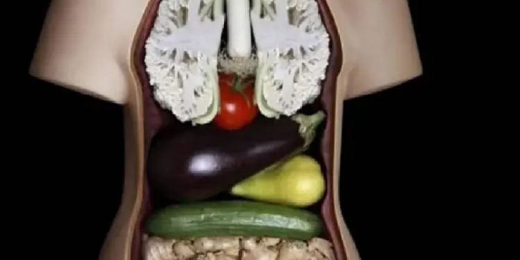 A aparência dos alimentos - Foto: Reprodução