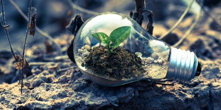 Composto pode ser usado no plantio de flores, hortaliças ou árvores - Foto: Singkham/Pexels Composto pode ser usado no plantio de flores, hortaliças ou árvores - Foto: Singkham/Pexels