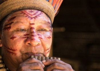 Indígenas vêm retornando às regiões de origem para reivindicar demarcação de territórios – foto: thinkstockphotos/BBC Brasil