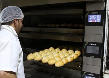 O levantamento foi feito pelo Sebrae com base nos dados do Caged

Foto: Rovena Rosa/Agência Brasil