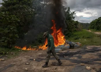O número de alerta de garimpo na Terra Indígena Yanomami teve queda de 73% no período de janeiro, fevereiro, março e abril de 2024, comparado ao mesmo período em 2023 - Foto: Casa Civil BR