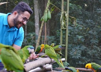 Foto: Parque das Aves
