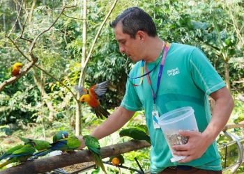 Fotos: Parque das Aves