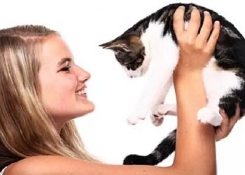 Foto: Reprodução/PJ’s Pets & Pets Unlimited