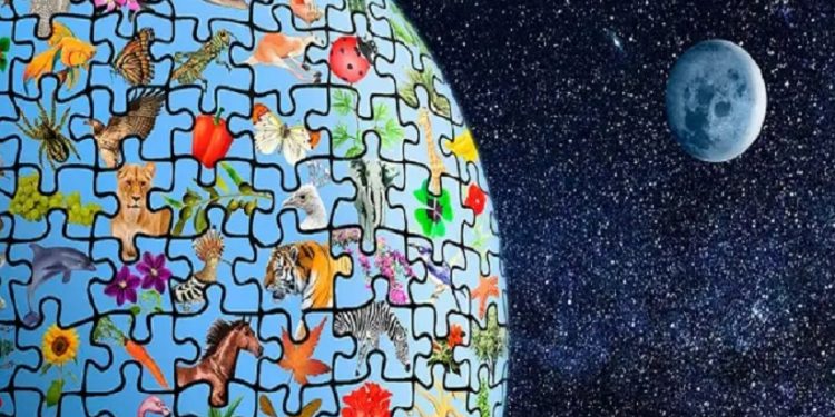 Qual a relação entre bem-estar humano, biodiversidade, pandemia e mudanças climáticasfronteiralivre Qual a relação entre bem-estar humano, biodiversidade, pandemia e mudanças climáticasfronteiralivre
