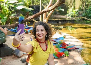 Foto: Divulgação/Parque das Aves