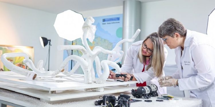 Especialistas em restauração atuam em laboratório no Palácio do Alvorada para recuperar obras danificadas em 8 de janeiro de 2023. Foto: Wallisson Breno / Audiovisual PR Especialistas em restauração atuam em laboratório no Palácio do Alvorada para recuperar obras danificadas em 8 de janeiro de 2023. Foto: Wallisson Breno / Audiovisual PR