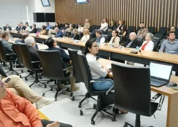 Em plenária concorrida, conselheiros, convidados e a comunidade presentes – foto: Divulgação