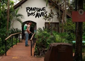 Foto: Divulgação/Parque das Aves