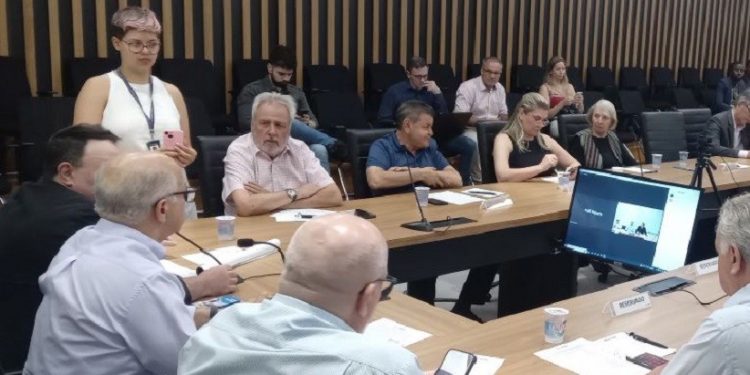Sessão do conselho reuniu representantes de instituições públicas e privadas - foto: Divulgação Sessão do conselho reuniu representantes de instituições públicas e privadas - foto: Divulgação