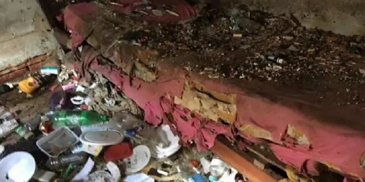 Mulher é retirada de casa com mais de 100 ratos e três toneladas de lixo, em BH-fronteiralivre Mulher é retirada de casa com mais de 100 ratos e três toneladas de lixo, em BH-fronteiralivre